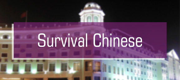 Survival Chinese