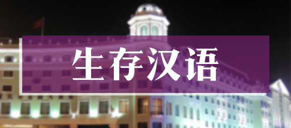 生存汉语